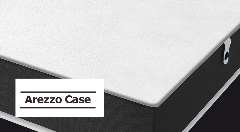 Arezzo case