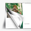 Calendario Mensile | WHITE 02 | 44x30 cm - immagine 3