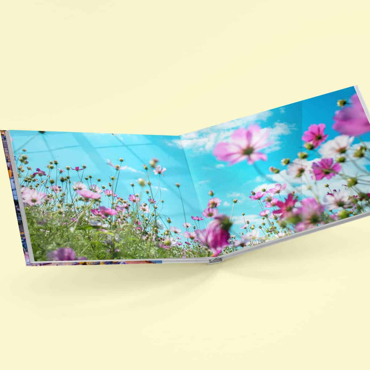Fotolibro apertura panoramica |Offerta