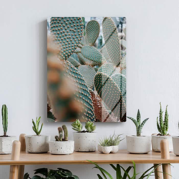 Foto con cornice | in Offerta