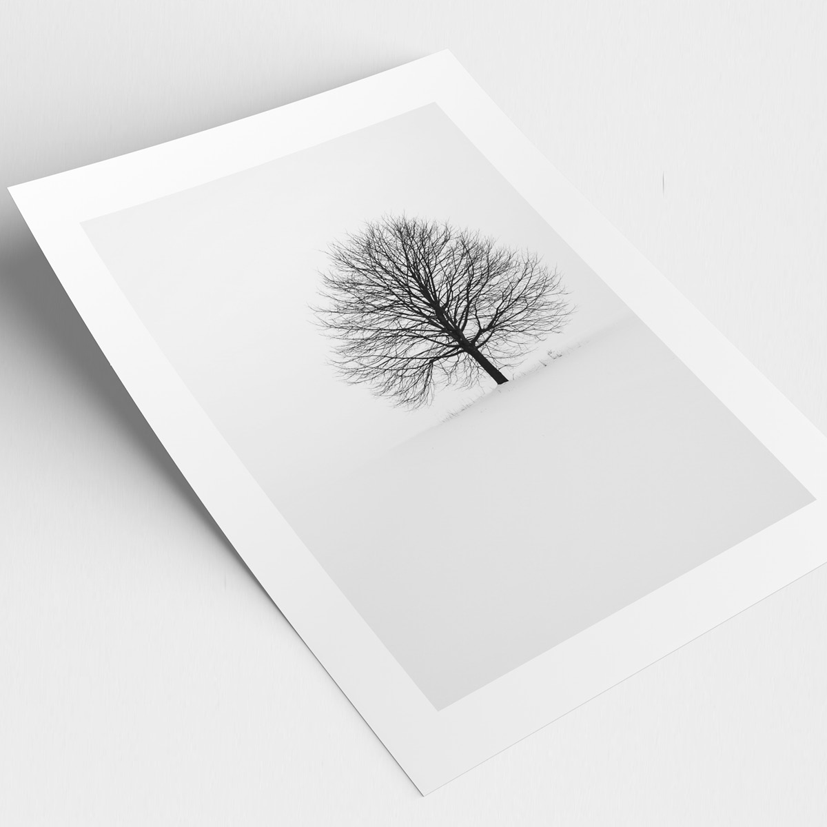 Stampe fine art